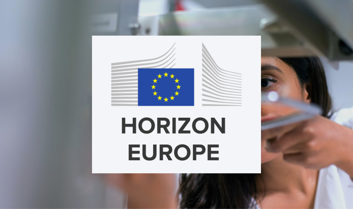 blind evaluation horizon europe