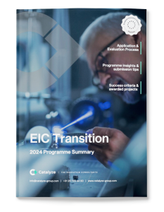 EIC Transition guide 2024 cover - 1800 x 1080